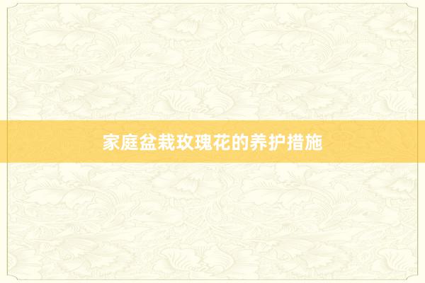 家庭盆栽玫瑰花的养护措施